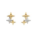 10K Yellow Gold Natural Mined Diamond Starlight Stud Earrings